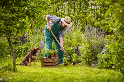 Gardener in West Ham starting a garden clearance