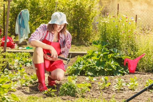 Volunteers working together in a community garden in West Ham, raised beds and greenery.